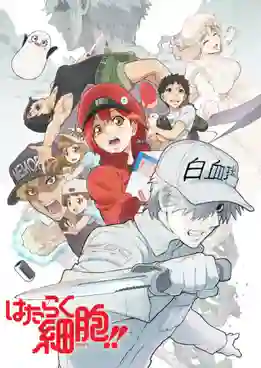 Hataraku Saibou (Cells at Work!) Season 2 เซลล์ขยัน พันธุ์เดือด ซีซั่น 2 พากย์ไทย