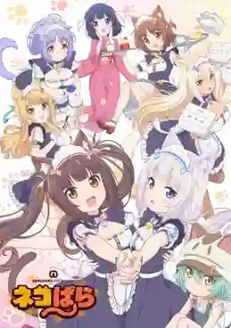 Nekopara ยัยเหมียววุ่ยวาย ซับไทย