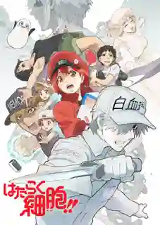 Hataraku Saibou (Cells at Work!) Season 2 เซลล์ขยัน พันธุ์เดือด ซีซั่น 2 พากย์ไทย