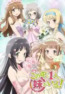 Kono Naka ni Hitori Imouto ga Iru เธอนะหรือคือน้องสาวผม ซับไทย