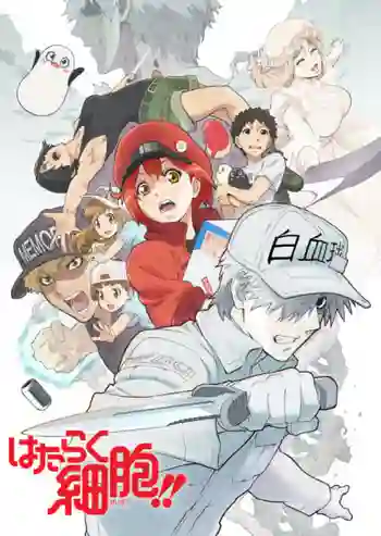 Hataraku Saibou (Cells at Work!) Season 2 เซลล์ขยัน พันธุ์เดือด ซีซั่น 2 พากย์ไทย