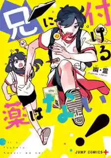 Ani ni Tsukeru Kusuri wa nai ซับไทย