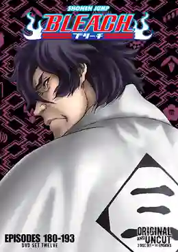 Bleach บลีช เทพมรณะ ปี9 พากย์ไทย