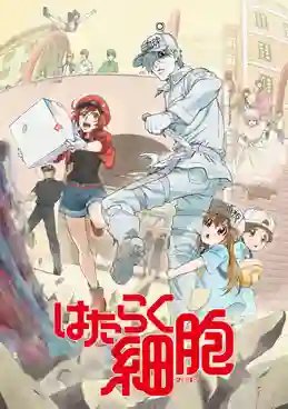 Hataraku Saibou (Cells at Work!) Season 1 เซลล์ขยัน พันธุ์เดือด ซีซั่น 1 พากย์ไทย