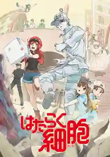 Hataraku Saibou (Cells at Work!) Season 1 เซลล์ขยัน พันธุ์เดือด ซีซั่น 1 พากย์ไทย