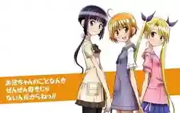 Oniichan no Koto Nanka Zenzen Suki Janain Dakara ตอนที่ 1-12 ซับไทย
