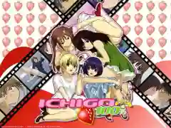Ichigo สตรอเบอรี่ 100% ซับไทย